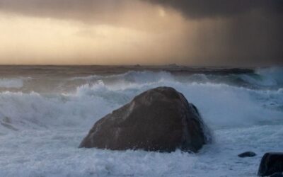 Hva er et ekte landskapsbilde i 2025?